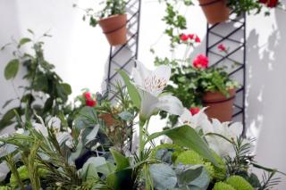 Apartamentos San Fernando 76 - 4