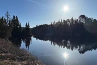 Entire Home in Lake of Bays -Huntsville Muskoka Algonquin - 4