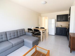 Appartement neuf à 50m de la plage centrale, moderne et tout confort - FR-1-732-61 - Argelès-sur-Mer - 3