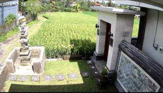 Sarin Pertiwi Private villa - Bedahulu - 9