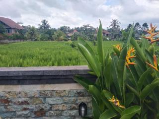 Sarin Pertiwi Private villa - Bedahulu - 4