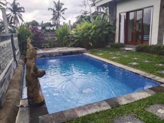 Sarin Pertiwi Private villa - Bedahulu - 0
