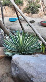 Rock Bay by Chành Rành - 2