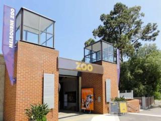Comfy and warm 2BR Apt at Parkville - Melbourne - 2