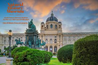 Lovely Shared 6BR with Garden Near Danube & Millenium City - Vienna - 5