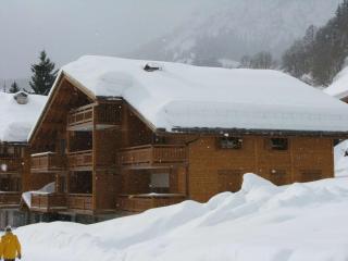 Beau 3 pièces - 52m² - 4 personnes - Vue sud avec balcon - FR-1-458-226 - Le Grand-Bornand - 9