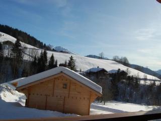Beau 3 pièces - 52m² - 4 personnes - Vue sud avec balcon - FR-1-458-226 - Le Grand-Bornand - 1