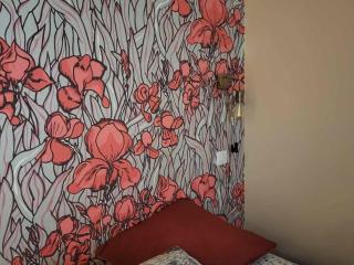 Triplex au cœur de Bayonne, 4 couchages, Internet inclus - FR-1-495-150 - Bayonne - 6