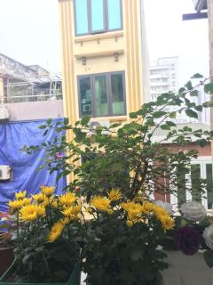 My home, and yours too - Hanoi - 2