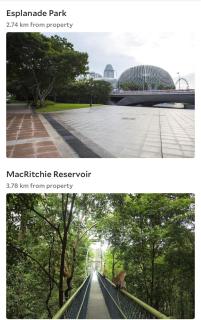 Oasis in the Heart of Singapore - Singapore - 9