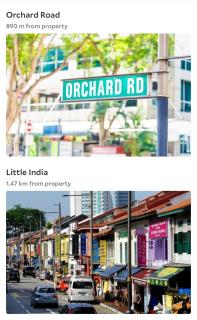Oasis in the Heart of Singapore - 3