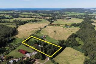 Tranquility Berry - 7