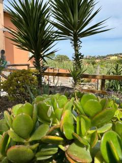 Casa Bruno - Marciana - 7