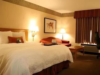 Flagstaff Hotel - Flagstaff - 9