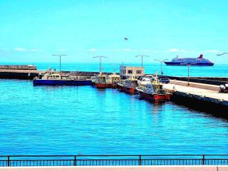 貸別荘 Dolphin AQUA 淡路島 - Sumoto - 0