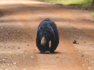 Feel Like Home Hostel Anuradhapura - 4