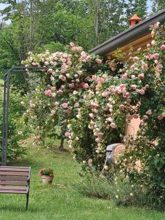 B&B Rosaverde - Mulazzano - 2