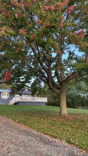 Boutique Lakeview Escape 4BR Pool Fire Pit - Hammondsport - 0