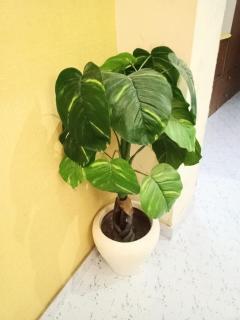Star Heritage Recedency 3 - Neu-Delhi - 5