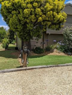 Lilies Lakeside Spa Villa - 1 Bedroom - Lovedale - 5