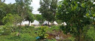 Tháng Tư Glamping - Hà Tiên - 6
