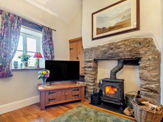 2 Bed in Betws-y-coed 55429 - Yspytty-Ifan - 7