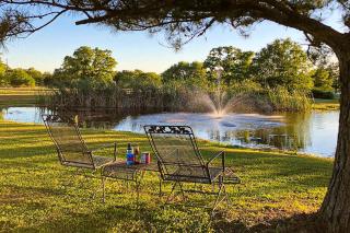 Blitzen - Reindeer Ranch at Round Top - Carmine - 7