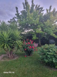 La Collina del Riccio - Ortona - 5