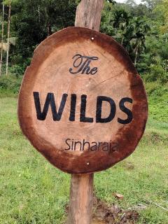 The wilds Sinharaja - Deniyaya - 9