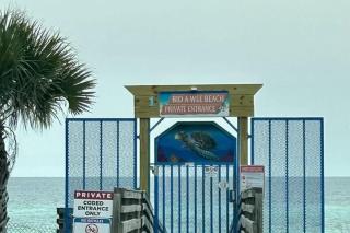 Tipsea Turtle - AvantStay 1 Block to Gulf Pool - Panama City Beach - 5