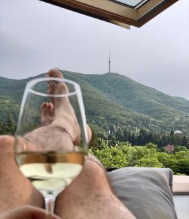 Boutique apartment with Mountain View - Sofia - 3