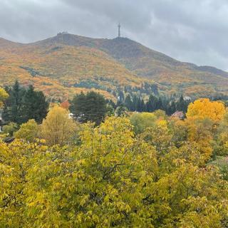 Boutique apartment with Mountain View - Sofia - 2
