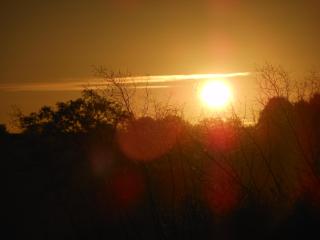 Chambre D'hôtes La Basse Gougeonnière - 1