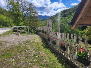 Antić apartmani Stara planina - Crni Vrh - 1