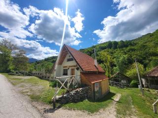 Antić apartmani Stara planina - Crni Vrh - 3