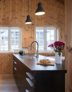 Modern Mountain Cabin With Views At Filefjell - Tyinkrysset - 0