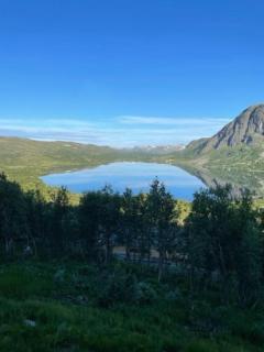 Modern Mountain Cabin With Views At Filefjell - Tyinkrysset - 9