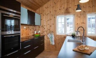 Modern Mountain Cabin With Views At Filefjell - Tyinkrysset - 7