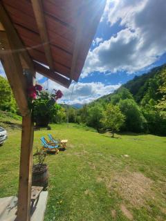 Antić apartmani Stara planina - Crni Vrh - 5
