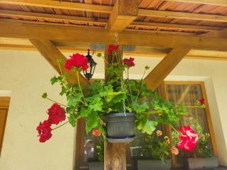 Antić apartmani Stara planina - Crni Vrh - 7