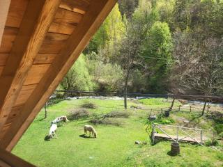 Antić apartmani Stara planina - Crni Vrh - 8