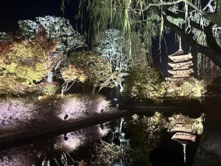 サイレントハウス東寺京都駅西 - Nishi-kujō-Toriiguchichō - 3