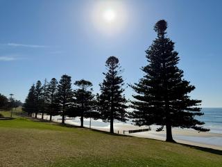 Esplanade Elegance - Torquay - 5