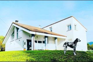 Villa Romeo - Oviedo - 6
