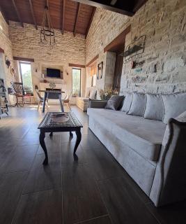 OLIVE LAND - ΓΗ ΤΗΣ ΕΛΙΑΣ / STONE VILLA. - Gouves - 1