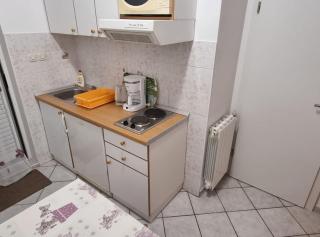 Apartments Pansion Franka - Brist - 8