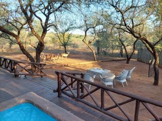Khumbula iAfrica 1 - Marloth Park - 7