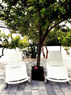 villa.sunny.nin - Nin - 1