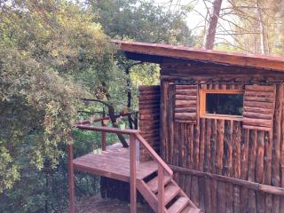 Le Cabanon d 'Aix - Aix-en-Provence - 8