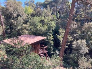 Le Cabanon d 'Aix - Aix-en-Provence - 7